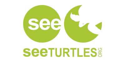 SEE TURTLES